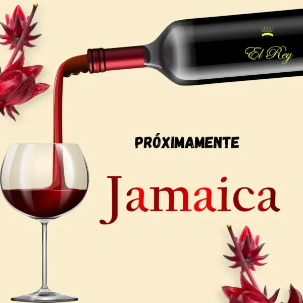 Vinos de Nicaragua, Flor de Jamaica, el mejor.